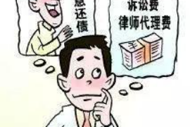 屏山专业讨债公司有哪些核心服务？